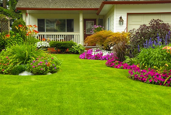residential landscaping service