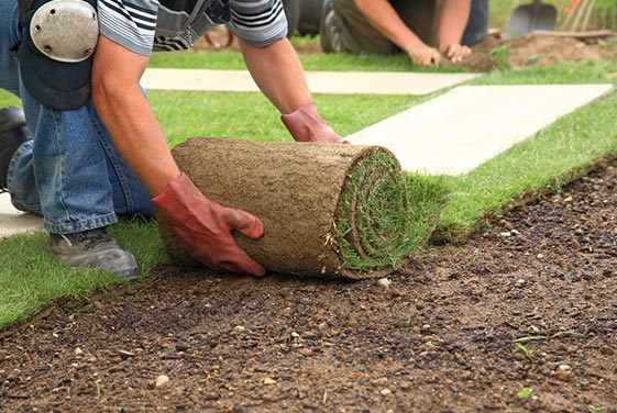 turf installation service