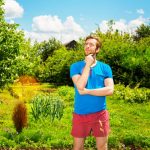 looking for experienced landscaping service
