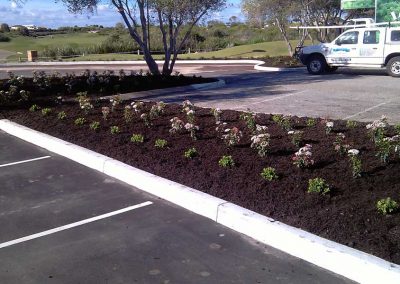 garden edging landscaping perth