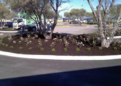 garden edging landscaping perth