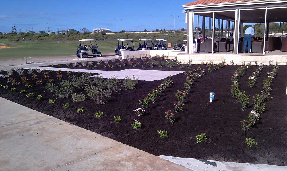 pave landscaping