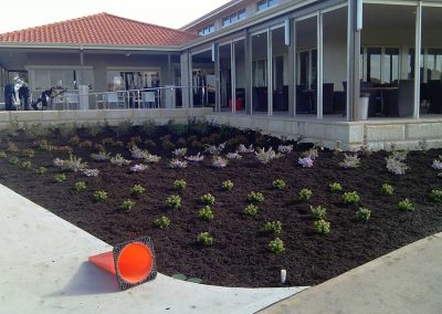 planting and landscaping