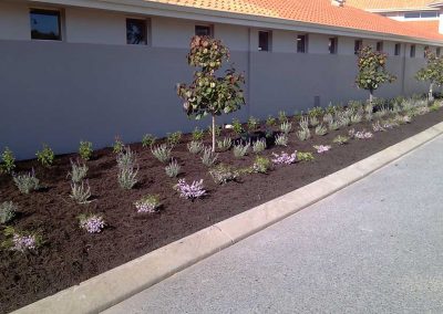 planting and landscaping