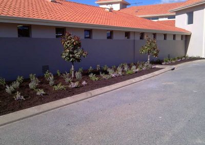 garden edging landscaping