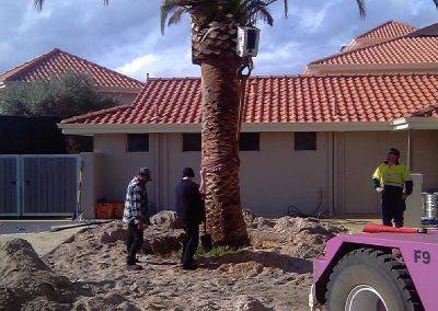 site clearing landscaping