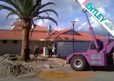 site clearing landscaping