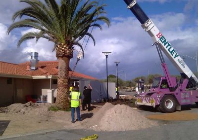 site clearing landscaping