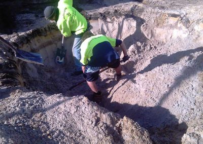 site clearing landscaping