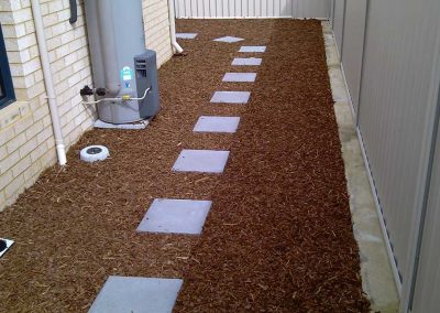 Charcoal-Steppers-in-Wood-Chip-Mulch