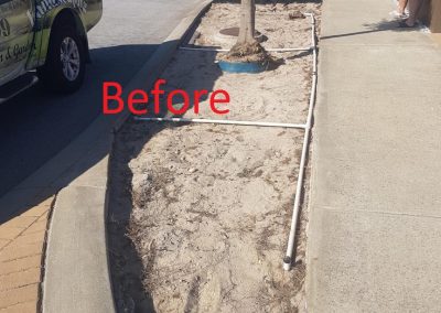 front yard garden edging before