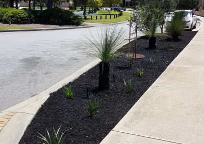 front yard garden edging