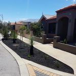 front yard garden edging