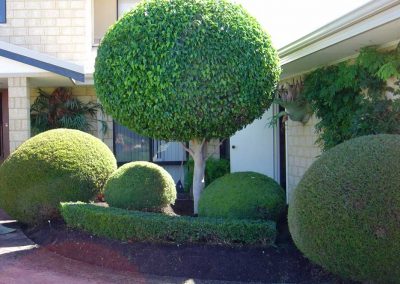 residential garden makeovers