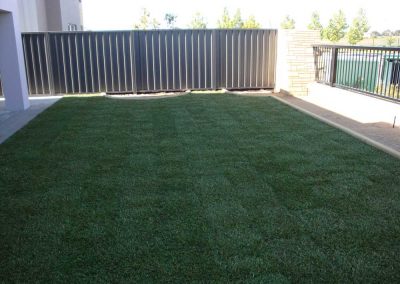 lawn garden turf installation landscaping inspiration