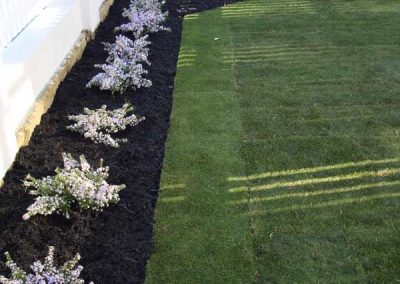 planting and garden edging landscaping inspiration