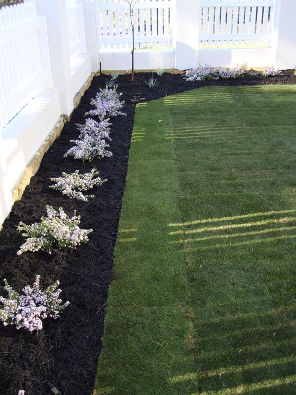planting and garden edging landscaping inspiration
