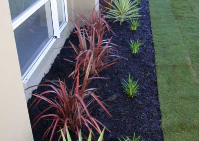 planting and garden edging landscaping inspiration