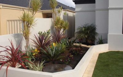 Improve Your Home’s Value with Backyard Landscaping