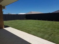 turf installation landscaping