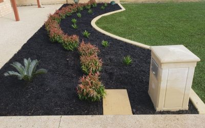 4 Landscape Edging Styles to Transform Your Backyard