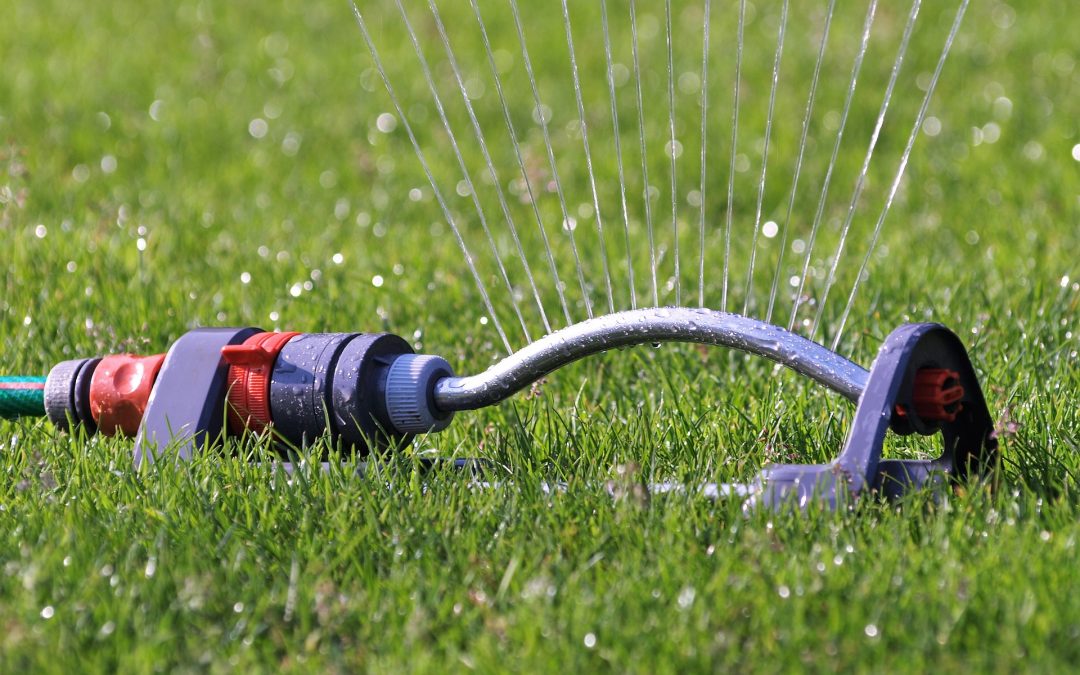 garden reticulation system on green grass