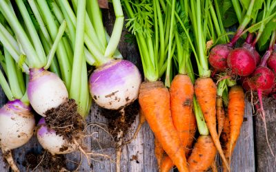 Trending Landscape Design Ideas for Your Garden