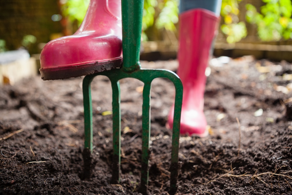 lawn irrigation