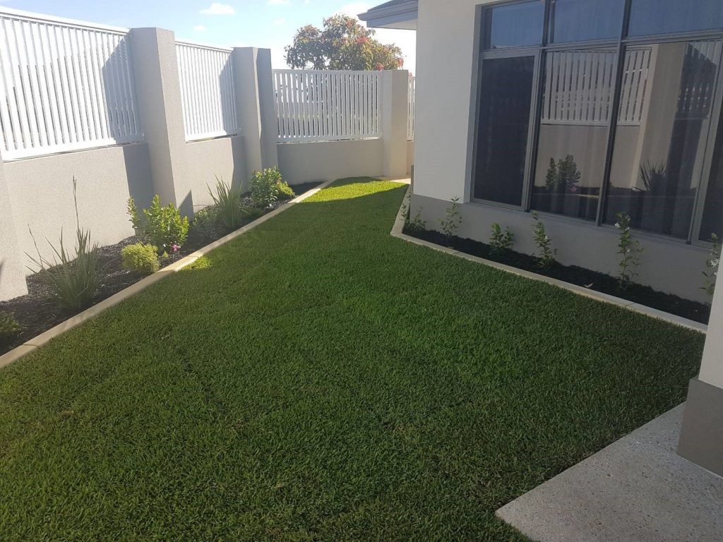 landscape architecture Palmetto Buffalo Turf