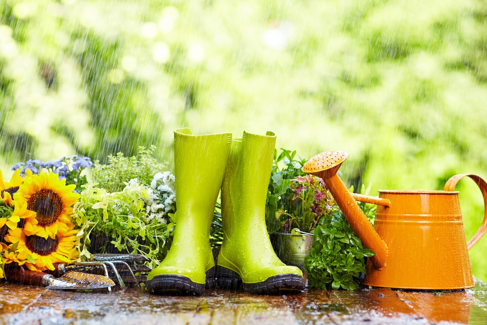 boots and gardening tools Common Myths About Winter Gardens