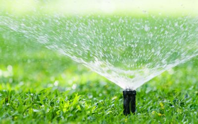 Garden Reticulation – What You Need to Know About Watering Days in Perth