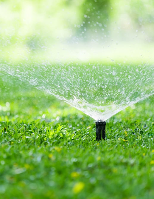 Garden Reticulation Watering Days In