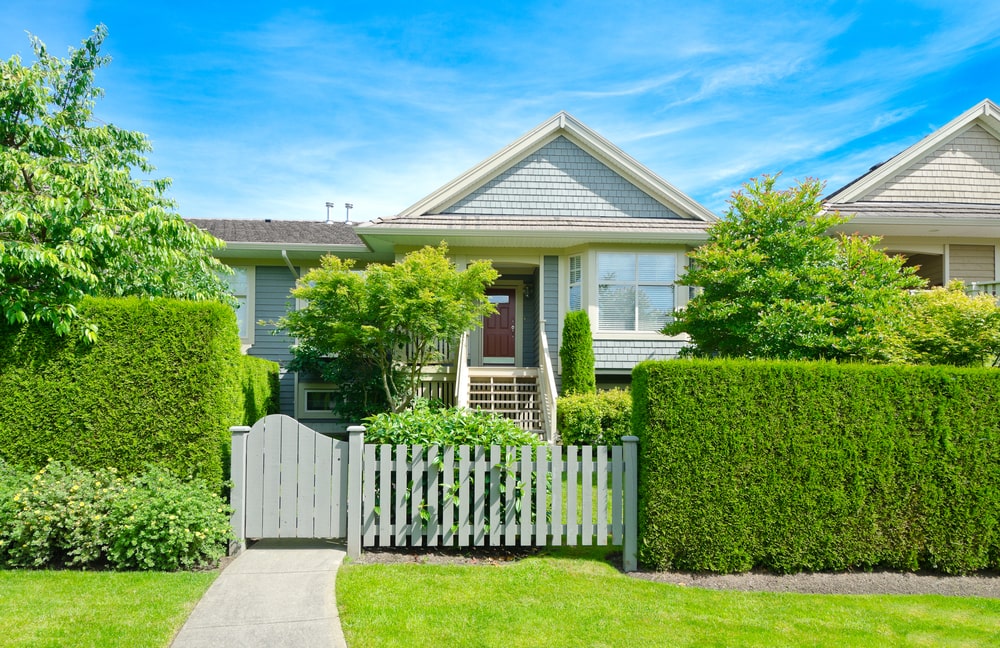 garden landscaping