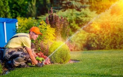 Common Signs Your Reticulation Needs Repairing
