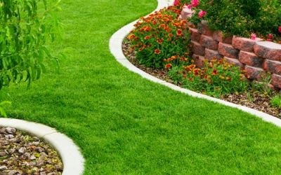 Importance of Lawn Edging
