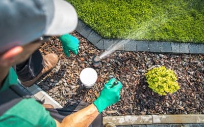 7 Easy Irrigation and Reticulation Tips For Your Garden