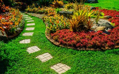 Creating a Low-Maintenance Garden: Tips for Busy Homeowners