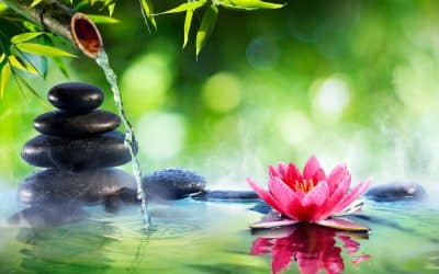 Top 5 tips for bringing Zen into your garden