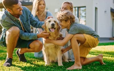 10 Tips for Pet Friendly Landscaping