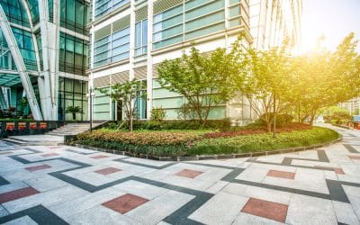 7 Commercial Landscaping Design Ideas