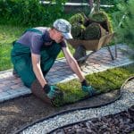 garden landscaping expert