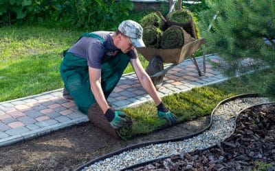 5 Reasons Why You Need To Hire Landscape Experts