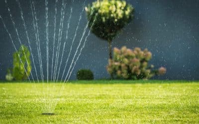 Reticulation Explained
