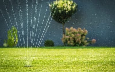 2 Types of Reticulation For Garden