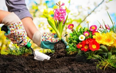 What Is Softscaping?