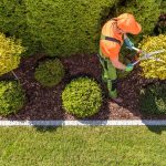 low maintenance gardening and landscaping