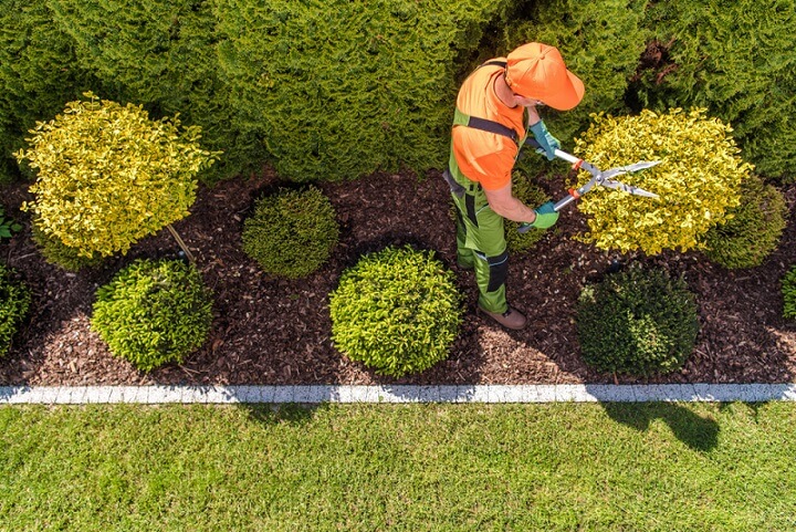 low maintenance gardening and landscaping