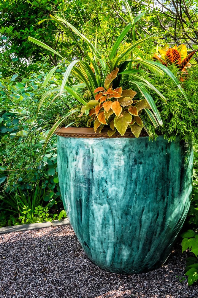 pot plants