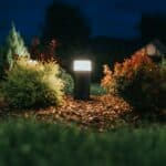 garden lighting landscape photo