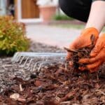 Best mulch for Perth gardens